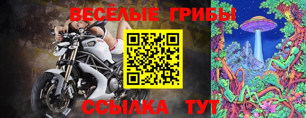 Новозыбков  Псилоцибиновые грибы Magic Shrooms  Вход с VPN  Галлюциногенные грибы мухоморы 